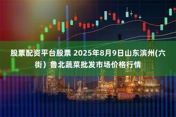 股票配资平台股票 2025年8月9日山东滨州(六街）鲁北蔬菜批发市场价格行情